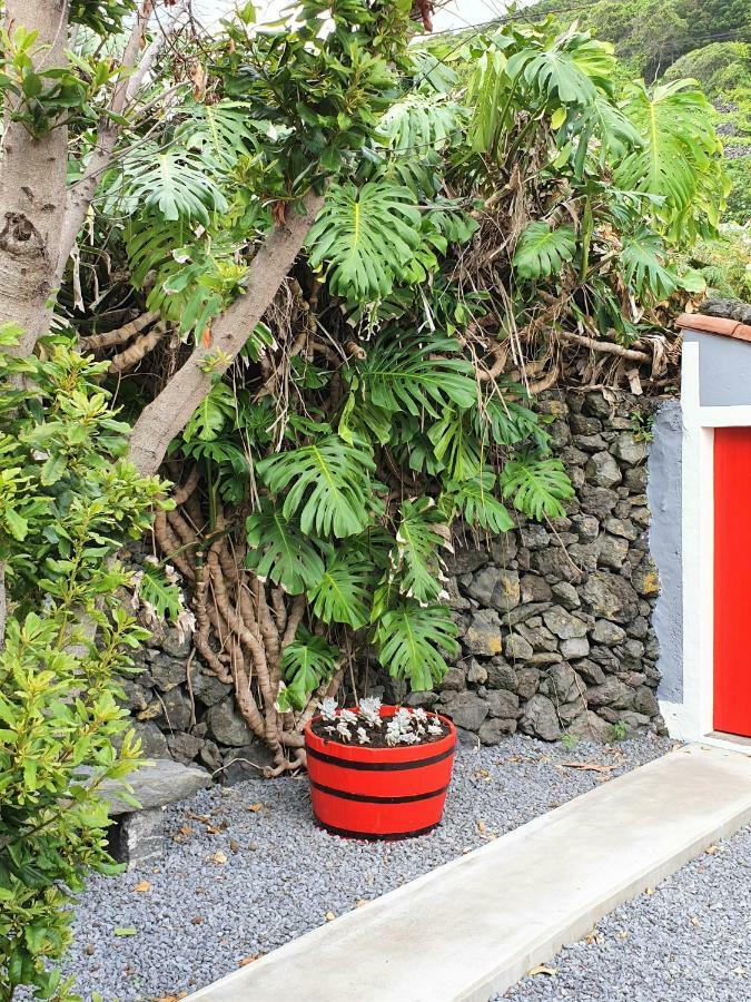 Villa Casinha De Nesquim Calheta de Nesquim Exterior foto